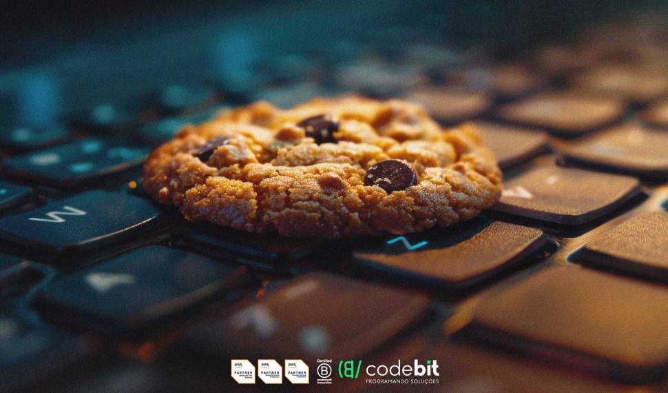 Para que servem os  cookies da internet?